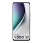 vivo Y300