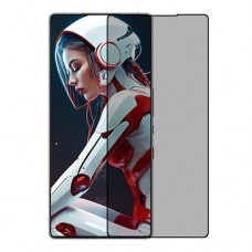 ZTE nubia RedMagic 10S Pro 5G Screen Protector Nano Glass 9H Privacy One Unit Screen Mobile