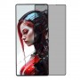 ZTE nubia RedMagic 10S Pro+ 5G Screen Protector Nano Glass 9H Privacy One Unit Screen Mobile